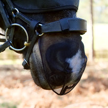 Load image into Gallery viewer, Equilibrium Net Relief Nose Shield
