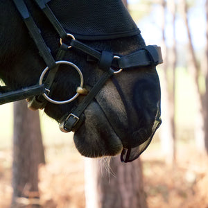 Equilibrium Net Relief Nose Shield