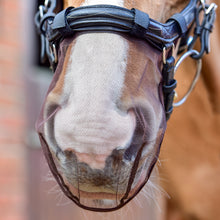 Load image into Gallery viewer, Equilibrium Net Relief Nose Shield
