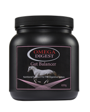 Load image into Gallery viewer, Omega Equine Digest Gut Balancer
