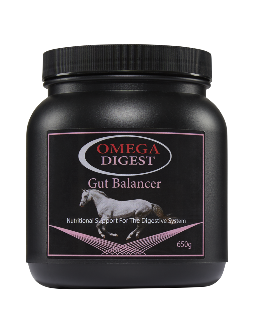 Omega Equine Digest Gut Balancer