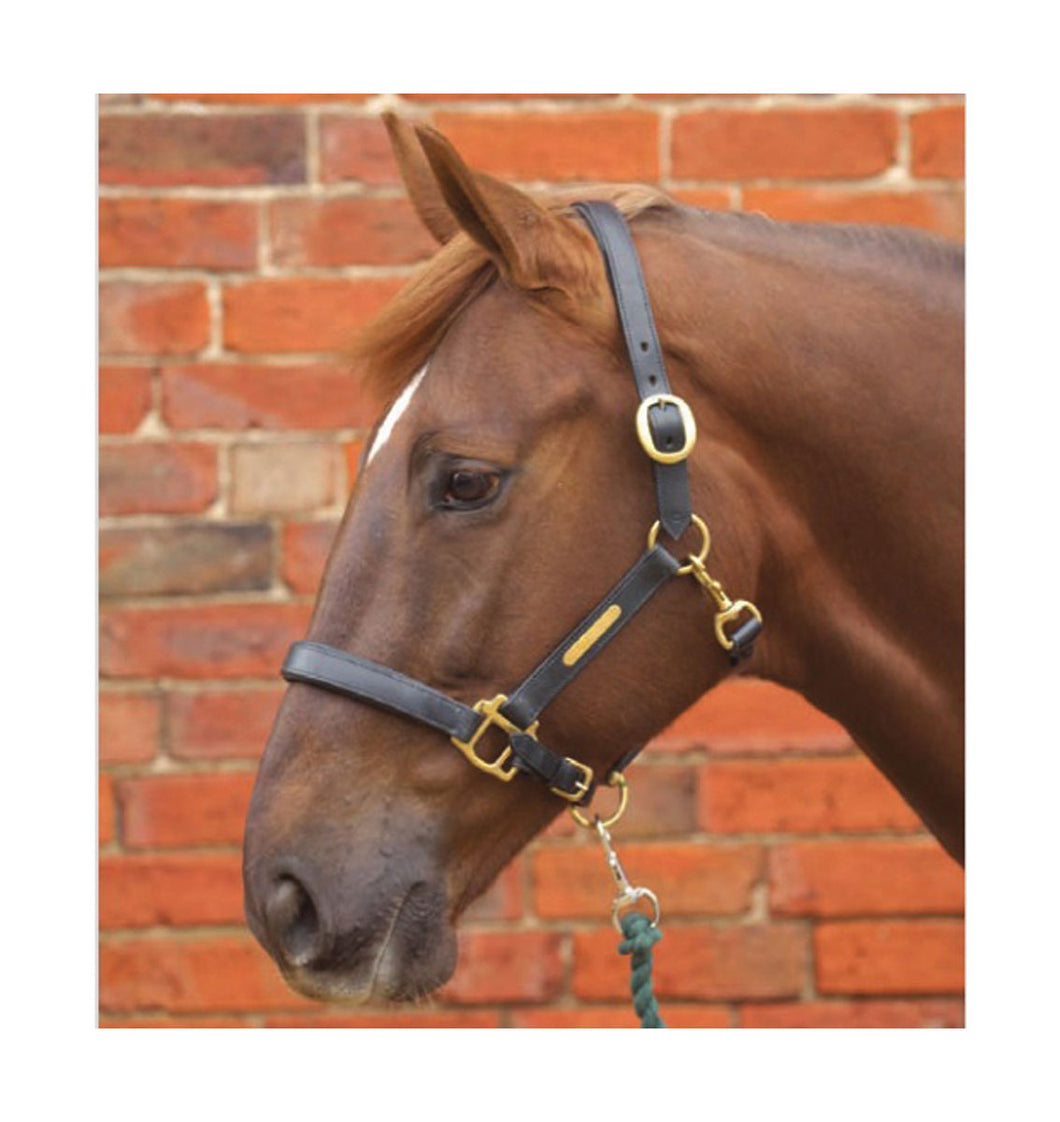 Hy Equestrian Leather Head Collar1
