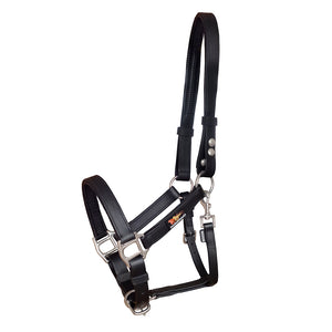 Equilibrium Stellar Headcollar