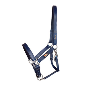 Equilibrium Stellar Headcollar