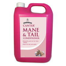 Load image into Gallery viewer, Canter Mane &amp; Tail Conditioner
