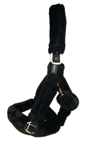 Cameo Padded Deluxe Headcollar