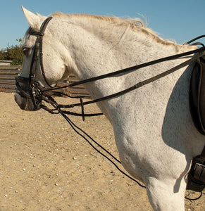 Rhinegold Draw Reins with Rope