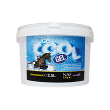 Load image into Gallery viewer, NAF Ice Cool Gel
