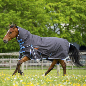 Gallop Toofan 350g Combo Turnout Rug