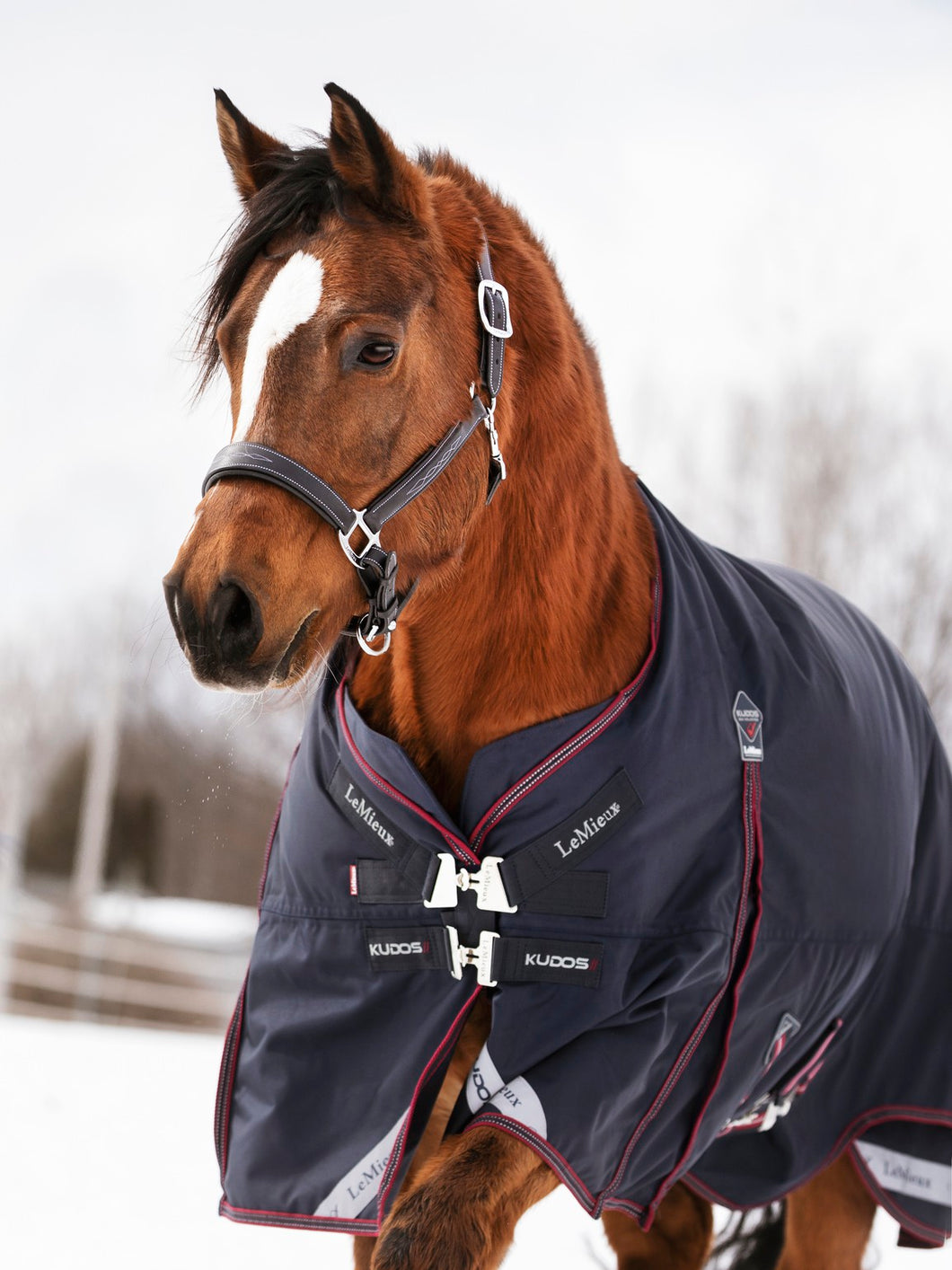 Le Mieux Kudos Turnout Rug 200g